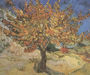 The Mulberry Tree (nn04) Vincent Van Gogh